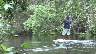 SUP and Windsurfing Guyana adventure with Brian Talma and Naish [upl. by Merril999]