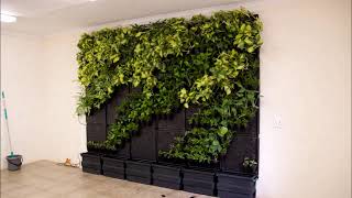 Modiwall Vertical Garden DIY time lapse [upl. by Atinra825]