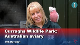 Curraghs Wildlife Park Australian aviary [upl. by Atrebor213]