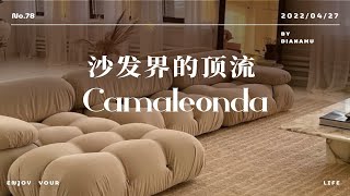 沙发界顶流Camaleonda [upl. by Nerhe104]