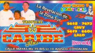 SONIDO TROPICAL CARIBE LA SELVA TROPICAL [upl. by Yerag332]