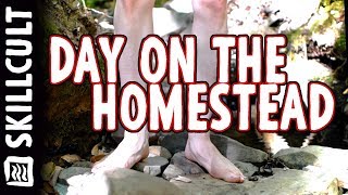 a Day on the Homestead Animals Apples Cactus Wim Hof Method [upl. by Renrag]