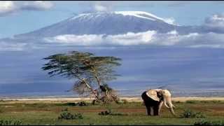 Kilimanjaro  A Brief Story [upl. by Ahsennek528]