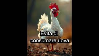 uova salmonella cosè e come si combatte [upl. by Kinchen836]