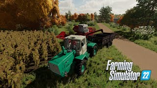 🔴 Farming Simulator 22🚜Floarea soarelui🌻  🗺 Malinovka 3 [upl. by Cloe]