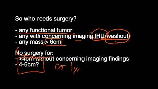 Adrenal Masses and Incidentalomas [upl. by Supple435]