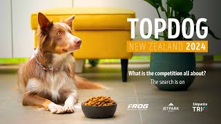 2024 NZTOPDOG I What is the competition all about [upl. by Cofsky]