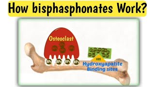 Mechanism action of bisphasphonates  How bisphasphonates work  Doctors goal [upl. by Eillo]