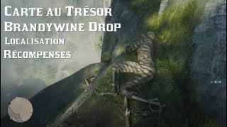 Red Dead Online 2  Carte au Trésor  Brandywine Drop  Localisation [upl. by Baudelaire950]