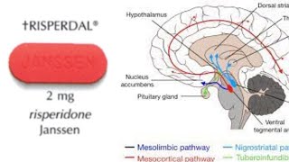 Risperdal Risperidone  How it Works Why its Used and Side Effects [upl. by Sadonia]