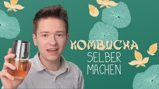 Lecker amp Gesund Kombucha selber machen [upl. by Henigman690]