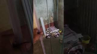 door glassdoor rollerdoor [upl. by Htelimay]