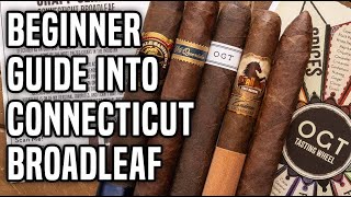 Cigar Guide Of Connecticut Broadleaf [upl. by Ahsekyw]