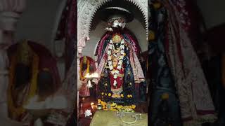 video 10 December 2024 maa Bhadrakali Aarti Jay maa Bhadrakaliitkhori templemaa aarti video [upl. by Regni375]