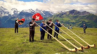 Das ALPHORN Traditional Swiss Music Instrument shorts [upl. by Oirasor122]