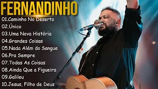 FERNANDINHO  Caminho No Deerto  Único Top 10 Hinos Gospel Mais Ouvidos de 2024 [upl. by Shelagh390]