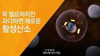 꼭 필요하지만 과다하면 해로운 활성산소  2014716509회 방송유병장수 시대 활성산소를 조절하라 [upl. by Dylan]