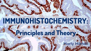 Immunohistochemistry Principles and Theory [upl. by Rexer]