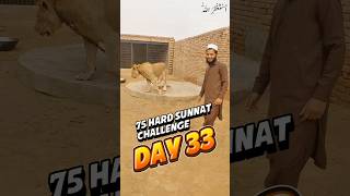 Muzaffar Ruhani 75 Hard Sunnat Challenge Day 33  ytshorts shorts minivlogs islamiclifestyle [upl. by Ley]