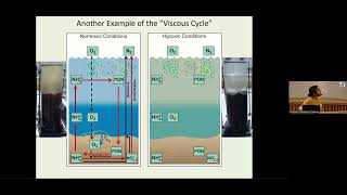 Low Oxygen Environments in Marine and Coastal Waters The 53rd Ocean Liedge Colloq 3rd GO2NE Confere [upl. by Bust116]