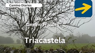 Day 34  O Cebreiro to Triacastela Camino Frances  September Camino [upl. by Michelle]