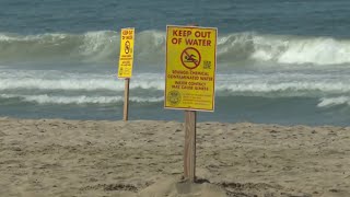 Imperial Beach is back open to swimmers for now  NBC 7 San Diego [upl. by Esydnac]