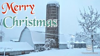 Merry Christmas from Trinity Dairy [upl. by Atirhs]