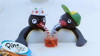 Pingu Loves Food🐧  Pingu  Official Channel  Cartoons For Kids [upl. by Ayekin959]