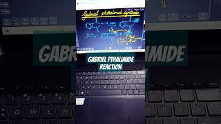 GABRIEL PHTHALIMIDE SYNTHESISnamereactions gabrielphthalimidesynthesis organicchemistry science [upl. by Enitsej66]