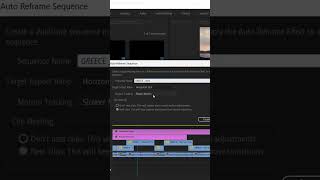 Auto reframe sequence In Premiere Pro [upl. by Philan378]