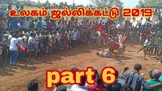 Ulagam Jallikattu Mash up Bulls Race Hosur Jallikattu videos 2019 [upl. by Joshia]