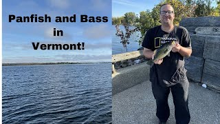 Nonstop panfish and bass in Vermont [upl. by Ojeitak]