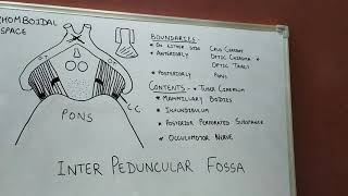 Interpeduncular FossaNeuroanatomy Part 16 [upl. by Hazlett]