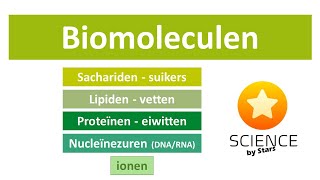 Biomoleculen Ionen sachariden lipiden proteïnen en nucleïnezuren [upl. by Haveman407]