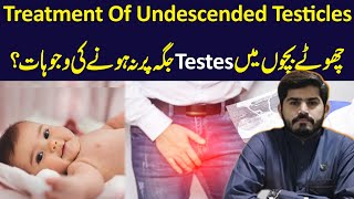 Undescended Testiscals In Children  Undescended Testiscals Ka Ilaj In Urdu  Wajeeh Ur Rehman [upl. by Puduns680]