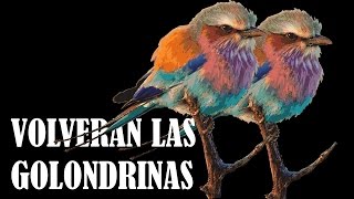 Volveran las Oscuras Golondrinas [upl. by Parrisch]