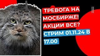 Тревога на МосБирже Акции все Стрим КОТА МАНУЛА 011124 в 1700 [upl. by Acissj571]