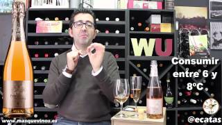 VIDEOCATA PERLAS DE OTOÑO ESPUMOSO ROSÉ PARA WINE UP TOUR [upl. by Hemingway]