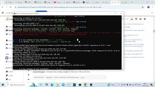 ERROR Could not install packages due to an OSError [upl. by Kramal596]