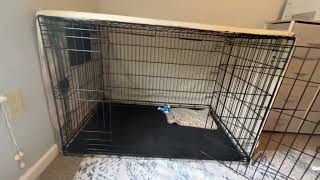 Amazon Basics Durable Foldable Metal Wire Dog Crate 2 Pros amp 2 Cons Dog Crate Cover [upl. by Aryek]