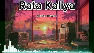 Rata Kaliyaslowed Reverb songs 🎶🎶🎶🎶 please help me 1k subscribenew Punjabi song lyrics [upl. by Hniv]