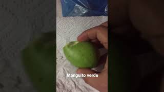 Comiendo manguito verde de El Salvador llanteros503 aventurasdeelsalvador [upl. by Hock]