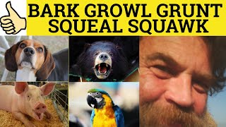 🔵 Bark Growl Grunt Squeal Squawk  Meaning and Examples  Animal Sounds [upl. by Bernita79]