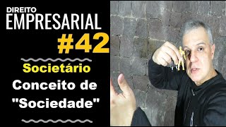 Direito Empresarial  Aula 42  Conceito de quotSociedadequot [upl. by Persas]