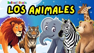 Aprende Los Nombres De Los Animales Para Niños  Animales para Infantiles [upl. by Rockey]