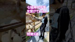 ⚠️七福神に守護されてる人⚠️特徴3選‼️ 幸運引き寄せ 引き寄せ happy [upl. by Fuller605]