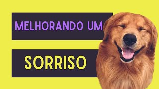 Passo a passo de uma limpeza dentária em um cachorro  remoção de tártaro [upl. by Zsa Zsa151]