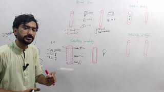 Drugs distribution pharmacokinetics lec 2 Medexplora zawaryousafzai [upl. by Enahc535]