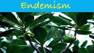 Endemism  Causes of Endemism  Endemic Species  Ecology science biology ecology csirnet [upl. by Niuqaoj89]