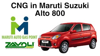 CNG In Maruti Suzuki Alto 800  ZAVOLI CNG kit installation in Alto 800  Maruti Auto Gas Point [upl. by Ardaed]